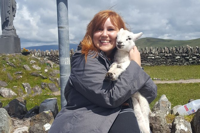 10 Day Wild Irish Experience Small Group Tour From Dublin - Day 5 to Day 6: Cliffs of Moher, Shannon ferry, sheepdog skills, and Dingle’s Slea Head