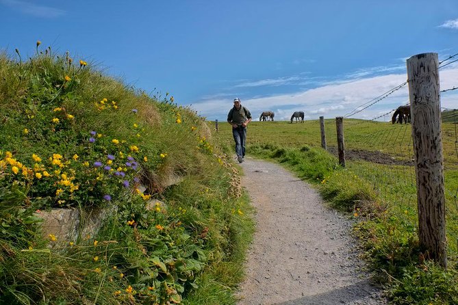 2-Day Wild Atlantic Way Tour From Dublin - Price, What You Get Included, and What Costs Extra
