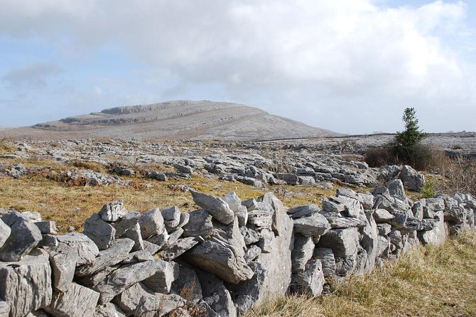 2-Day Wild Atlantic Way Tour From Dublin - Practical Tips for a Smoother Bus Trip