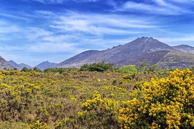 3-Day Discover Northern Ireland Small-Group Tour from Dublin - The Causeway Coastal Route: where the road becomes part of the day
