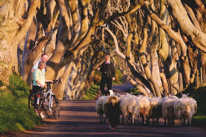 3-Day Northern Ireland Tour from Dublin: Giant’s Causeway & Titanic Experience - Derry walls and Bogside: where history is not abstract