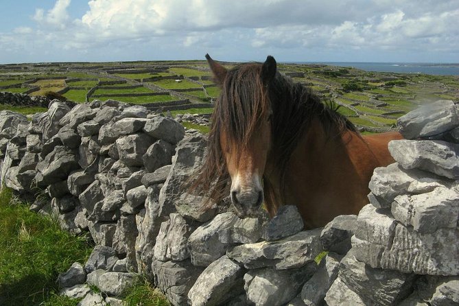 3-Day Southern Ireland Tour Including Galway and Kerry from Dublin - Where You’ll Sleep: Galway and the Dingle Peninsula Expect Simple and Friendly
