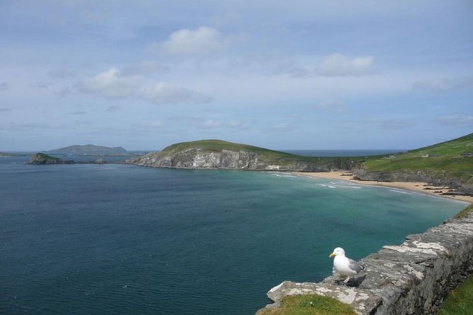 5-Day Northern Ireland and Atlantic Coast Small-Group Tour from Dublin - Price and value: what $1,563.99 gets you, and what costs extra
