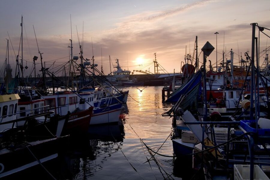6-Day Tour of Southern Ireland from Dublin - Galway Nightlife: The Evening That Turns Sightseeing Into a Story