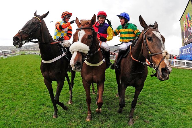 A Day At The Races & the Horse Lovers Tour - Meeting a local jockey: form reading and betting explained in plain terms