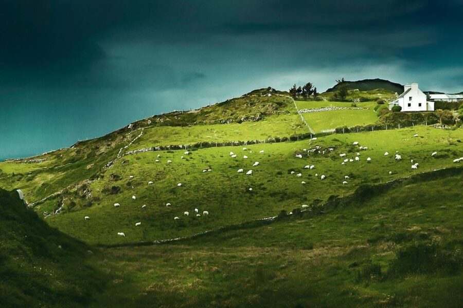 Best of Ireland 6-Day Backpackers Economy Tour - The Big Draw: Four Corners Ireland in 6 Days