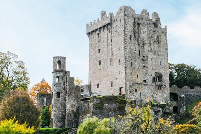 Blarney Castle and The Rock of Cashel with Private Chauffeur Tour - Blarney Castle and Gardens: More Than One Stone and a Kiss