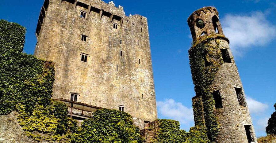 Blarney Castle Full-Day Tour from Dublin - Value check: what $90 gets you, and what it does not