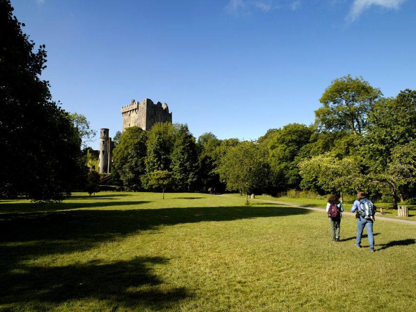 Blarney Castle Full-Day Tour from Dublin - Cork on the River Lee: English Market time and cathedral option