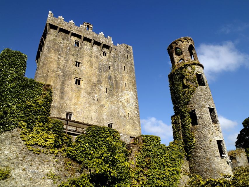 Blarney Castle Full-Day Tour from Dublin - Blarney Castle and the Blarney Stone in priority order