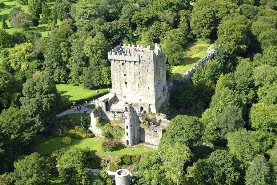 Blarney Castle Full-Day Tour from Dublin - Witch’s Cave, Celtic Crosses, and Round Tower details
