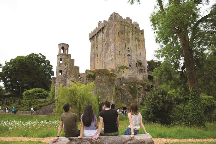 Blarney Castle Full-Day Tour from Dublin - Dublin pickup and the Golden Vale drive to County Cork