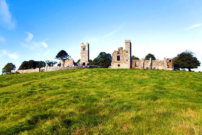 Boyne Valley, Meath - Private Shore Excursion - Monasterboice: Irish High Crosses and a round tower that still feels unusual