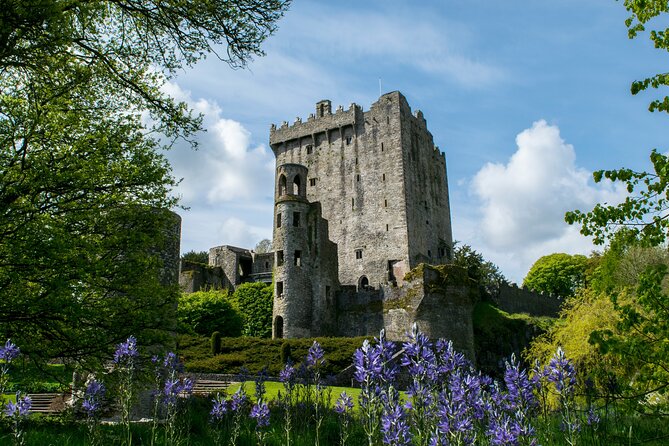 Chauffeur Blarney and Cork Private Day Tour from Dublin - Getting rolling in Dublin: start time, comfort, and pacing