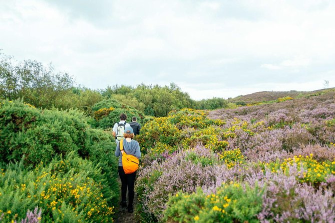 City Explorer: Howth Private Day Trip - Howth in one day, without the herd