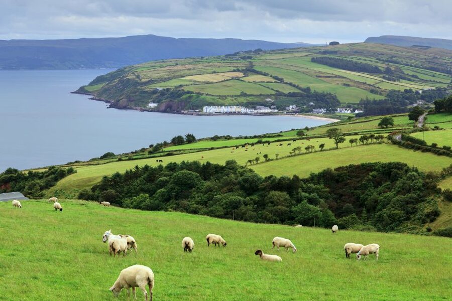 Cliffs of Moher and Blarney 2-Day Tour from Dublin - The Burren: moon like terrain plus a famine story