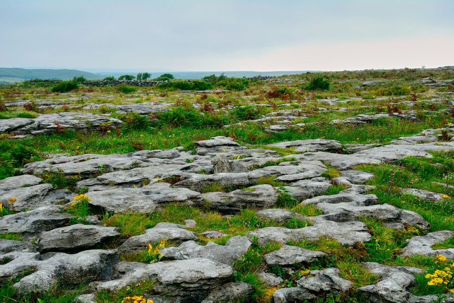Cliffs of Moher and Blarney 2-Day Tour from Dublin - Returning east: Bunratty Castle photo stop before Dublin