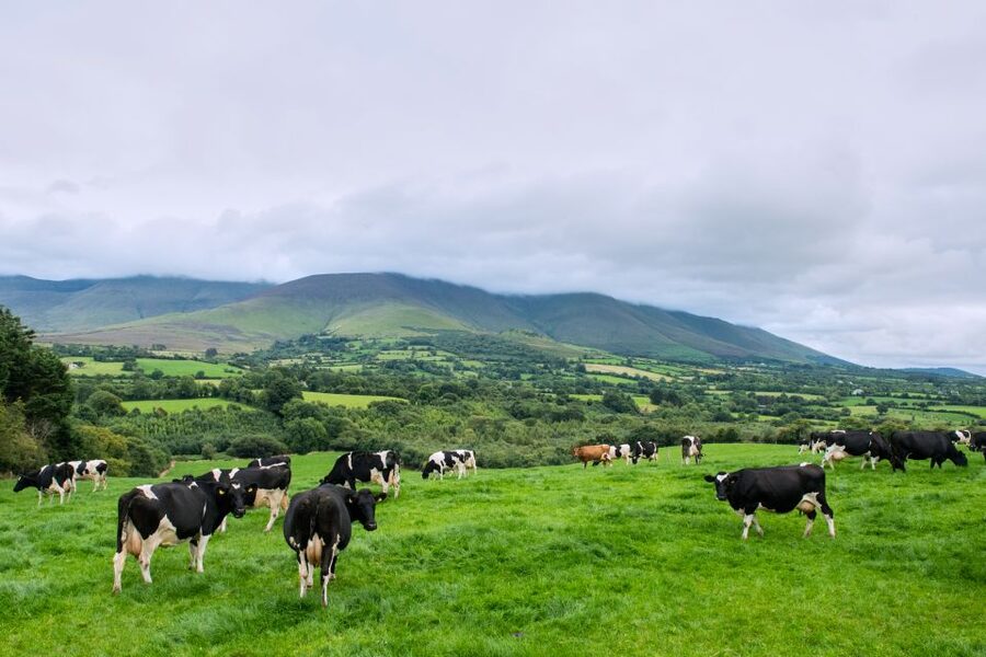 Cliffs of Moher and Blarney 2-Day Tour from Dublin - Cork overnight: how that sleep stop affects your whole 2 days