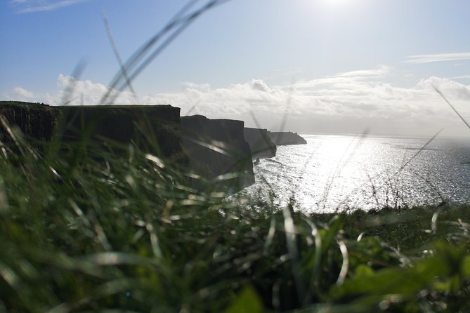 Cliffs of Moher & Galway Bay private tour or Galway city day trip - Ballyvaughan donkey feeding, plus a quick feel for local life