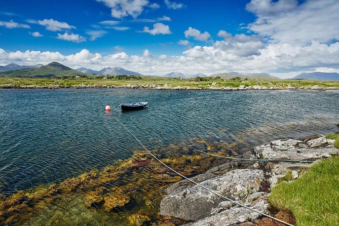 Connemara and Galway City Day Tour from Dublin - Glengowla Mines and Family Farm: the most hands-on part