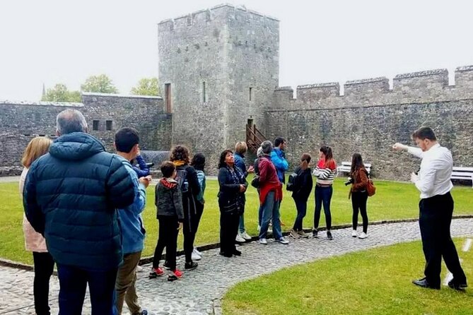 Cork City, Cahir Castle and Rock of Cashel Tour with Spanish Speaking Guide - Cork City for 2 hours: English Market, cathedral views, and lunch choices