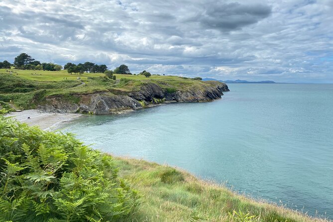 Day Tour from Dublin to Wicklow: Cliffs, Heritage, Wildlife, Gaol - Key points to know before you go