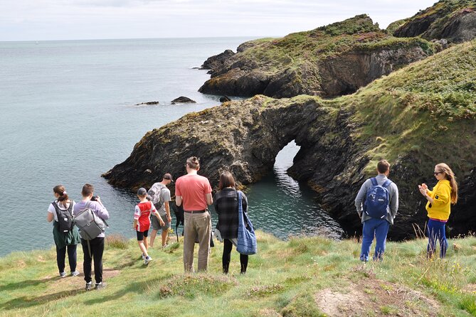 Day Tour from Dublin to Wicklow: Cliffs, Heritage, Wildlife, Gaol - Wicklow Town: Vikings, St Patrick’s landing, Norman ruins, and prison history