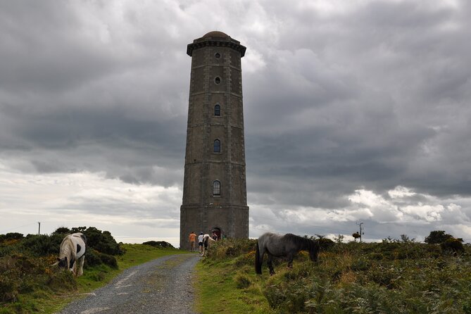 Day Tour from Dublin to Wicklow: Cliffs, Heritage, Wildlife, Gaol - Food planning: picnic treats are included, lunch is on you