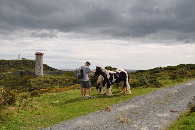 Day Tour from Dublin to Wicklow: Cliffs, Heritage, Wildlife, Gaol - Price and value: is $781.03 per group fair for up to 4?