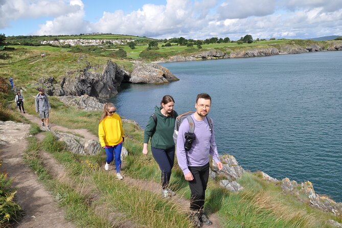 Day Tour from Dublin to Wicklow: Cliffs, Heritage, Wildlife, Gaol - Who should book this Wicklow day tour, and who should skip it