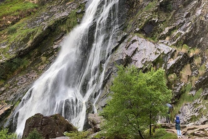 Day Tour from Dublin: Wicklow Mountains, Glendalough, Powerscourt - Timing, comfort, and what to plan for each day part