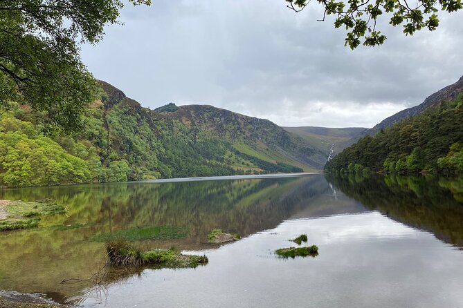 Day Tour from Dublin: Wicklow Mountains, Glendalough, Powerscourt - Powerscourt Waterfall: 121 meters of Irish drama