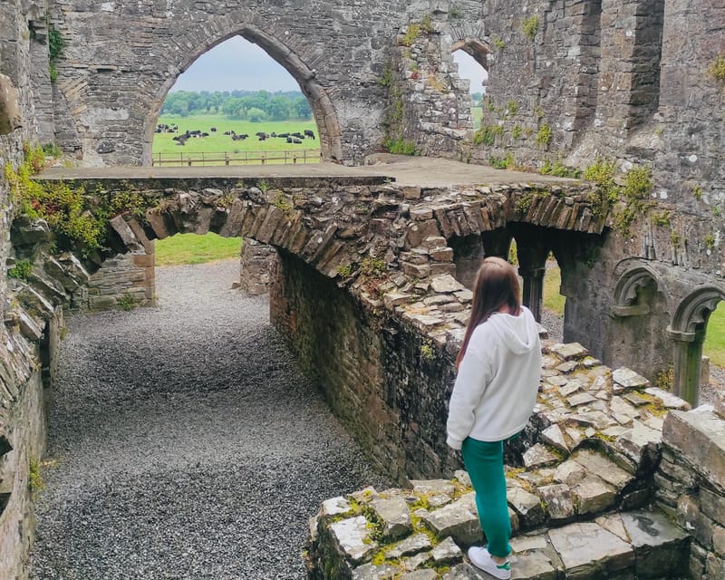 Day Tour: Hill of Tara Trim Castle Boyne Valley Celtic sites - Small practical notes that help you enjoy the day more