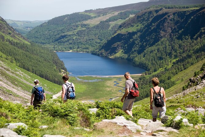Day Tour to County Wicklow - Powerscourt Waterfall: Ireland’s Tallest Drop at 122 Meters