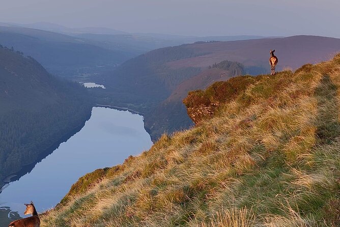 Day Tour to County Wicklow - Powerscourt House and Gardens: National Geographic’s Top-Tier Gardens