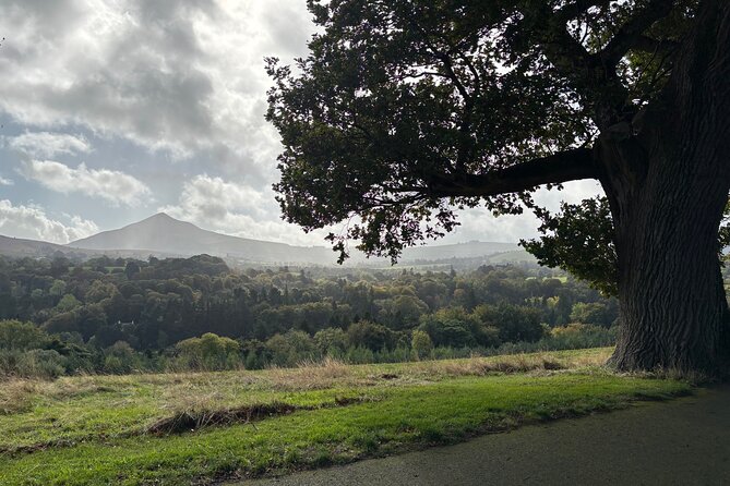 Day Tour to County Wicklow - The Drive, the Stops, and Why the Order Matters