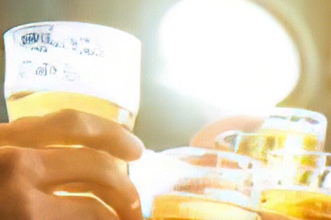 Drinks on Foot: Dublin Traditional Pub Tour - Who should book this tour, and who might want a different plan