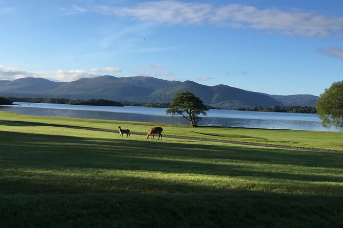 Dublin Airport Private Transfer: Dublin Airport to Killarney - Who This Private Dublin Airport Transfer Fits Best