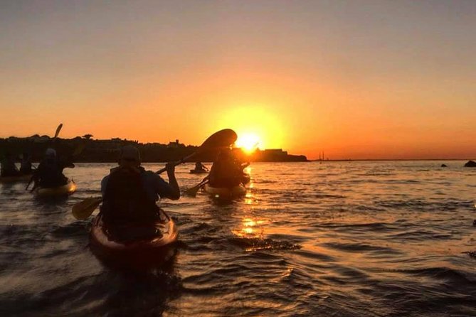 Dublin Bay Seal Kayaking Safari at Dalkey - Entering Bullock Harbour: How the Safari Gets You Ready