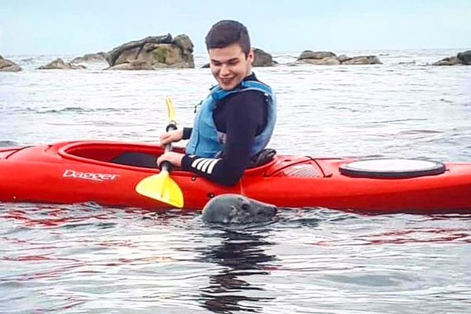 Dublin Bay Seal Kayaking Safari at Dalkey - Dalkey Island Stop: The Weather-Dependent Bonus You Will Enjoy