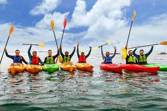 Dublin Bay Seal Kayaking Safari at Dalkey - Seal Encounters That Feel Up Close (and How Not to Mess Them Up)
