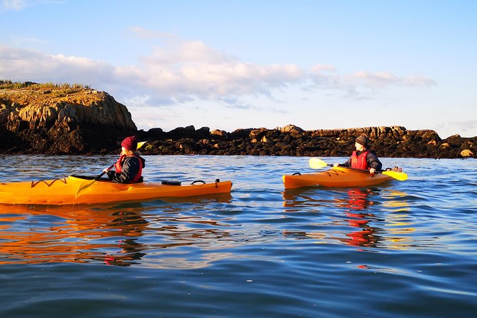 Dublin Bay Seal Kayaking Safari at Dalkey - What to Wear: Spare Footwear, Underlayers, and the Post-Kayak Reality