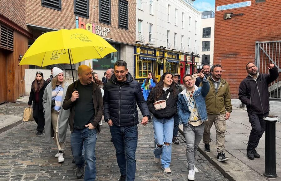Dublin: Bucket List Sights Walking Tour - Starting at Christchurch Place, Bull and Castle, and the Viking-to-Norman switch