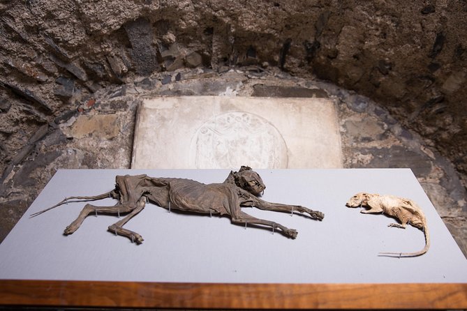 Dublin Christ Church Cathedral Admission Ticket - Timing and Services: When the Cathedral Hours Can Shift