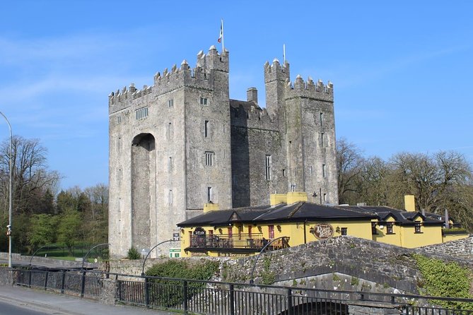 Dublin City Private Award Winning Luxury Car Tour - St Patrick’s Cathedral: What You See in 30 Minutes