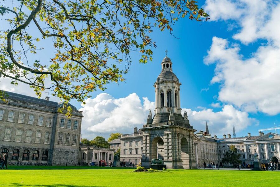 Dublin City Walking Tour, Vikings, St. Partick, Highlights - Starting at Molly Malone, then walking like you have a map