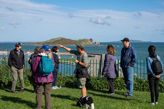 Dublin Coastal Hike, Pints & Puppies Adventure - Puppies and pints: how the fun elements change the feel