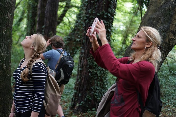 Dublin Coastal Hike with Howth Adventures - St Mary’s Abbey and King Sitric: history that fits in your walking shoes