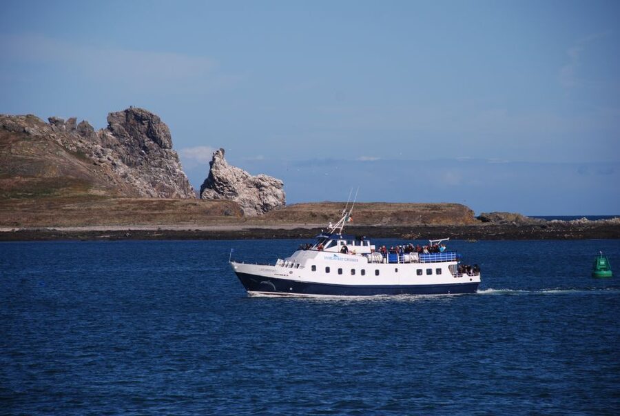 Dublin: Dublin Bay Cruise from Howth to Dun Laoghaire - Key highlights you will actually notice