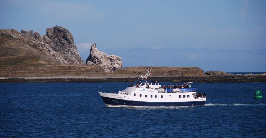 Dublin: Dublin Bay Cruise from Howth to Dun Laoghaire - The Howth start: cliffs, headlands, and a very Dublin welcome